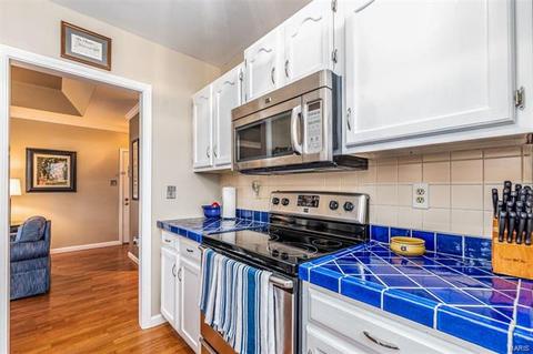 529 Colebrook Dr #E, Saint Louis, MO 63119 photo 19