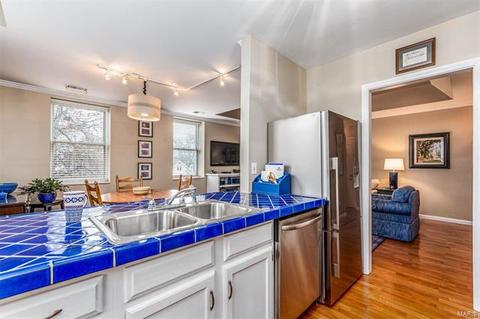 529 Colebrook Dr #E, Saint Louis, MO 63119 photo 17