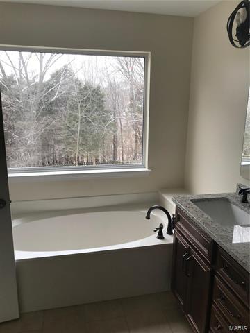 259 Jacob, Ballwin, MO 63021 photo 5