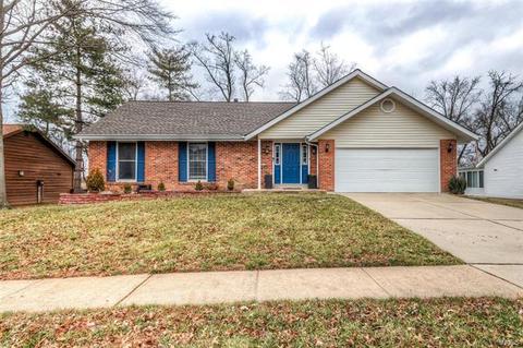 1039 Treeline Ct, Manchester, MO 63021 photo 1