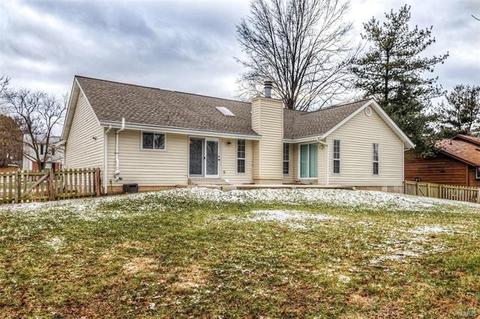 1039 Treeline Ct, Manchester, MO 63021 photo 37