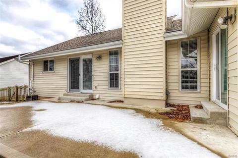 1039 Treeline Ct, Manchester, MO 63021 photo 34