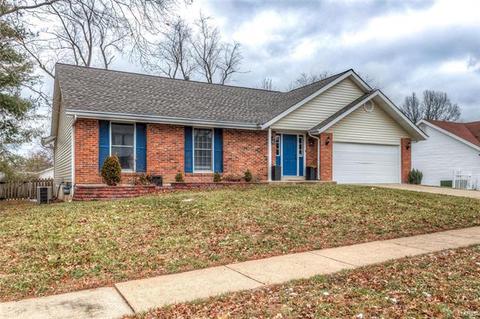 1039 Treeline Ct, Manchester, MO 63021 photo 2