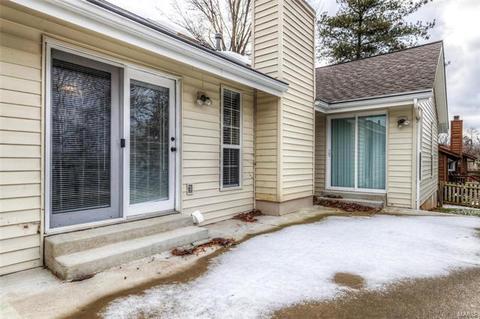1039 Treeline Ct, Manchester, MO 63021 photo 35