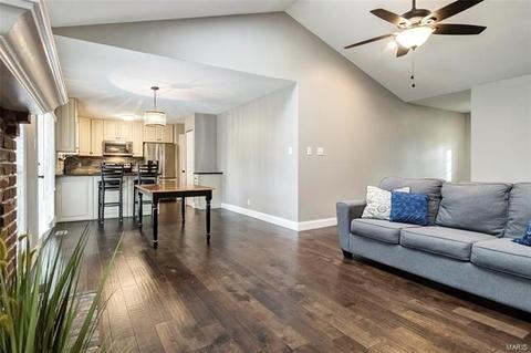 1039 Treeline Ct, Manchester, MO 63021 photo 10