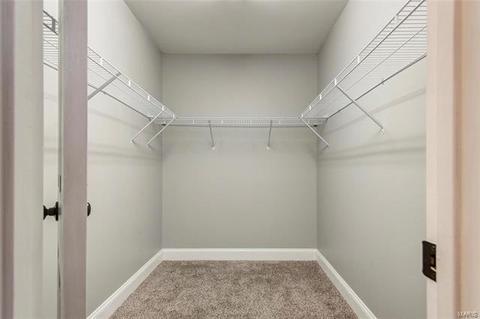 1039 Treeline Ct, Manchester, MO 63021 photo 18