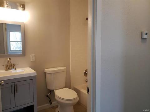 253 E Skyline, Ballwin, MO 63011 photo 19