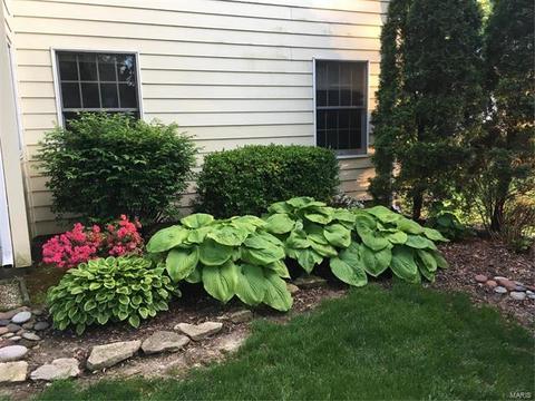 202 Abbey Glen Ln, Weldon Spring, MO 63304 photo 50