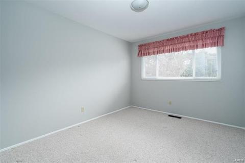 18 Steeple Hill Ln, Ballwin, MO 63011 photo 17