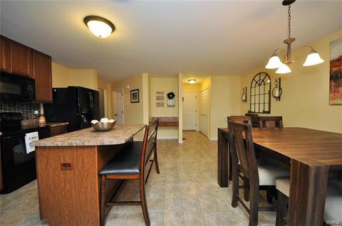 115 Wabash Spur Dr, O'fallon, MO 63366 photo 15