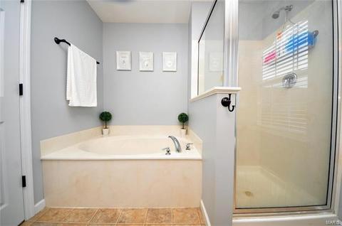 115 Wabash Spur Dr, O'fallon, MO 63366 photo 27