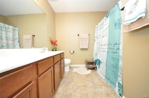 115 Wabash Spur Dr, O'fallon, MO 63366 photo 33