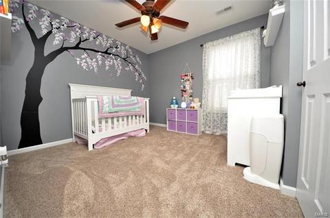 115 Wabash Spur Dr, O'fallon, MO 63366 photo 31
