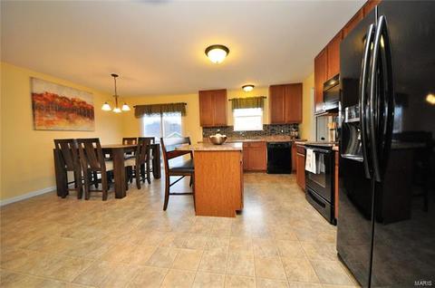 115 Wabash Spur Dr, O'fallon, MO 63366 photo 13