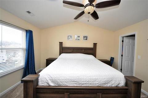 115 Wabash Spur Dr, O'fallon, MO 63366 photo 25