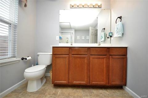 115 Wabash Spur Dr, O'fallon, MO 63366 photo 28