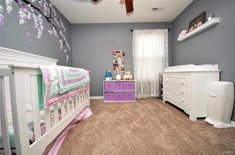 115 Wabash Spur Dr, O'fallon, MO 63366 photo 32