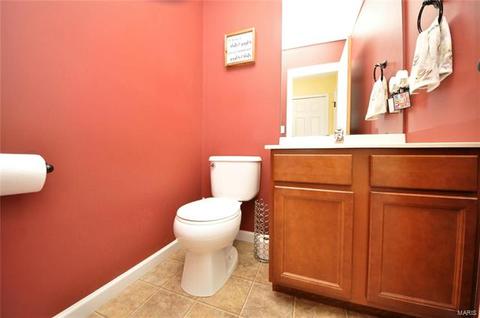 115 Wabash Spur Dr, O'fallon, MO 63366 photo 23