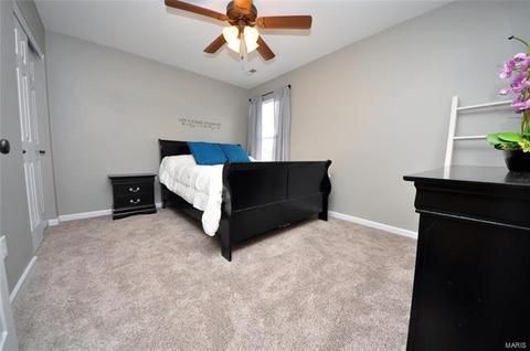 115 Wabash Spur Dr, O'fallon, MO 63366 photo 29