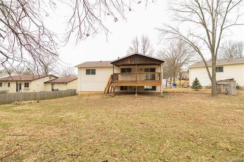 920 Bellestri, Ballwin, MO 63021 photo 31