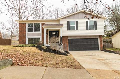 920 Bellestri, Ballwin, MO 63021 photo 29