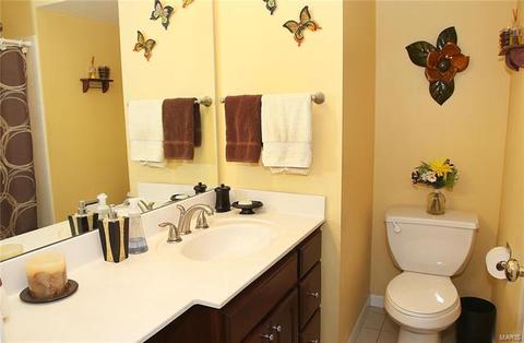 15264 Clayton Rd, Ballwin, MO 63011 photo 47