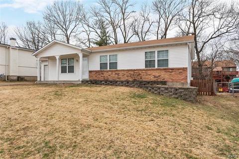 1809 Winter Hill Dr, O'fallon, MO 63366 photo 19
