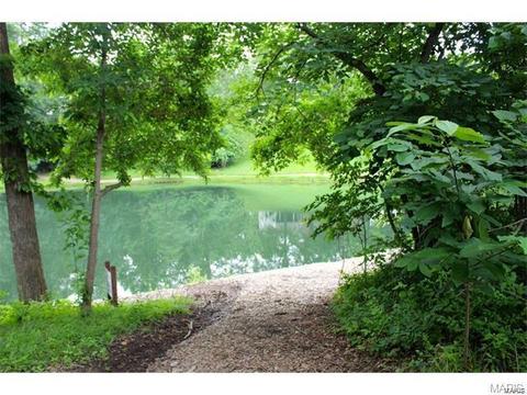 17706 Gingertree Ct, Wildwood, MO 63005 photo 38