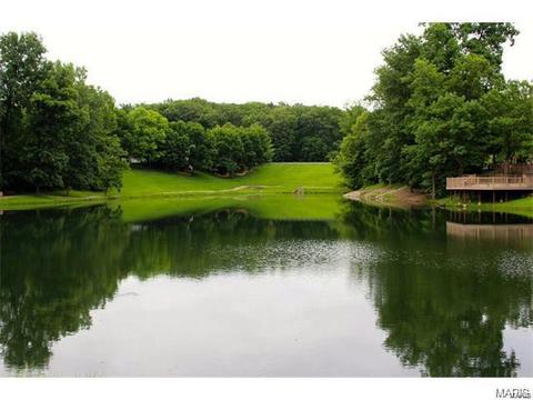 17706 Gingertree Ct, Wildwood, MO 63005 photo 37