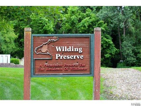 17706 Gingertree Ct, Wildwood, MO 63005 photo 36