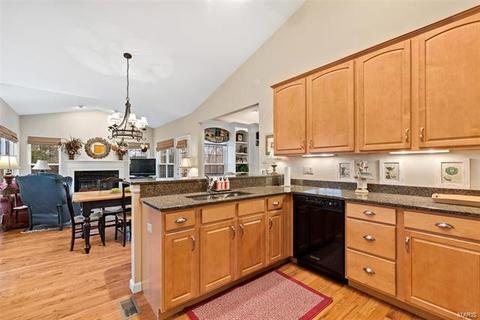 1566 Dietrich Chase Ln, Ballwin, MO 63021 photo 22