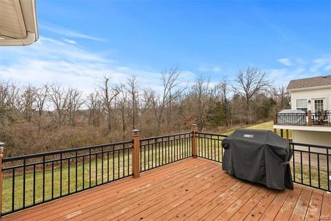 1566 Dietrich Chase Ln, Ballwin, MO 63021 photo 17