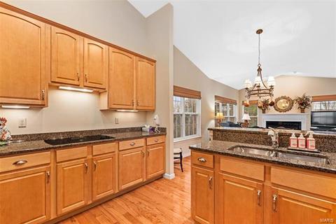 1566 Dietrich Chase Ln, Ballwin, MO 63021 photo 23