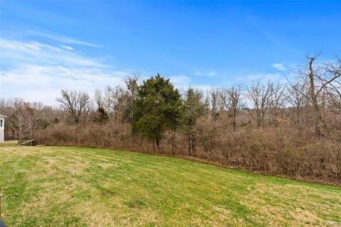 1566 Dietrich Chase Ln, Ballwin, MO 63021 photo 19