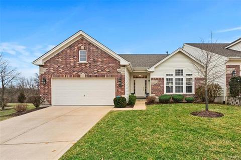 1566 Dietrich Chase Ln, Ballwin, MO 63021 photo 1