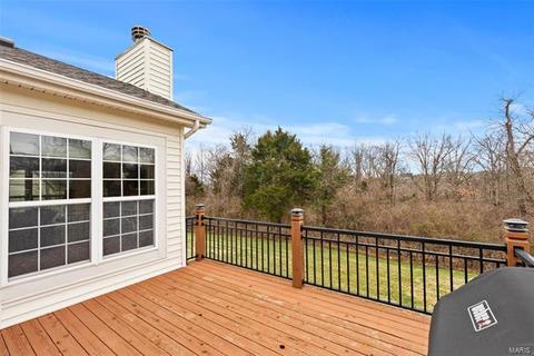 1566 Dietrich Chase Ln, Ballwin, MO 63021 photo 18