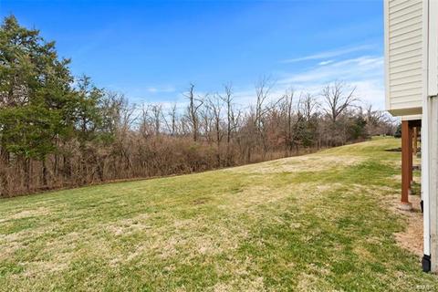 1566 Dietrich Chase Ln, Ballwin, MO 63021 photo 37