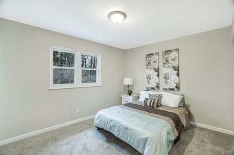 929 Brookvale Ter, Manchester, MO 63021 photo 13