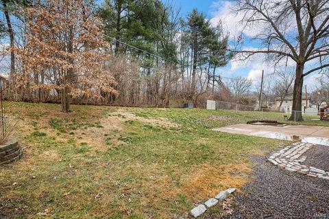 929 Brookvale Ter, Manchester, MO 63021 photo 33