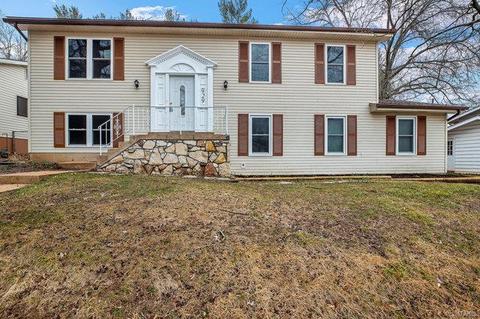929 Brookvale Ter, Manchester, MO 63021 photo 1
