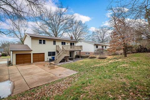 929 Brookvale Ter, Manchester, MO 63021 photo 30