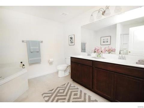 413 Fox Sedge Ct, O'fallon, MO 63366 photo 9