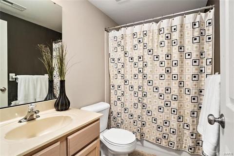 258 Bountiful Pointe, Grover, MO 63040 photo 33
