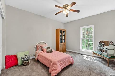 4497 Killdeer Dr, Augusta, MO 63332 photo 20