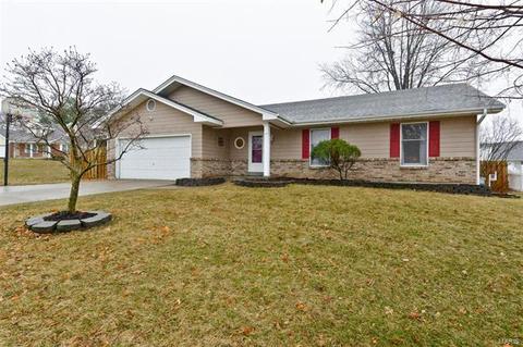 4 Blueberry Ct, O'fallon, MO 63366 photo 1