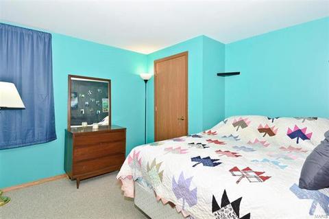 4 Blueberry Ct, O'fallon, MO 63366 photo 26