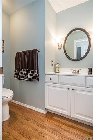 14636 Mill Spg, Chesterfield, MO 63017 photo 15