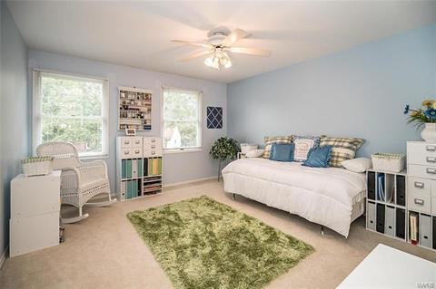 14636 Mill Spg, Chesterfield, MO 63017 photo 21