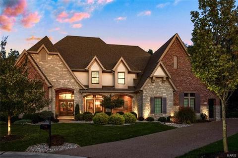 16787 Eagle Bluff Ct, Chesterfield, MO 63005 photo 58