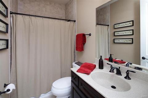 16787 Eagle Bluff Ct, Chesterfield, MO 63005 photo 33
